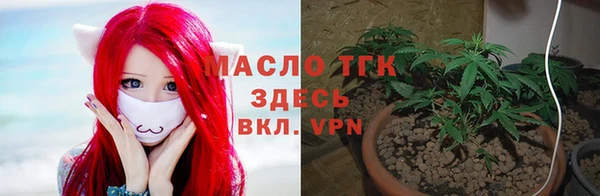 spice Абаза